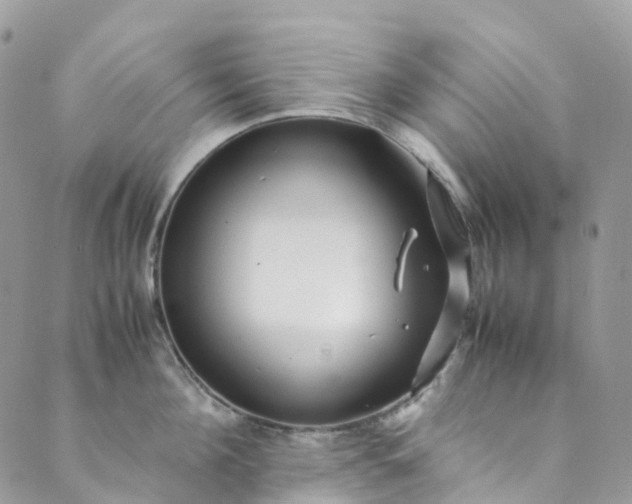 X0000089430908200706291311