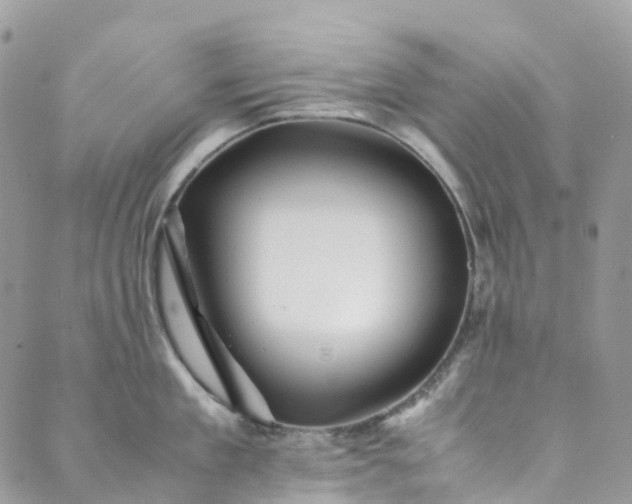 X0000089430909200706291311