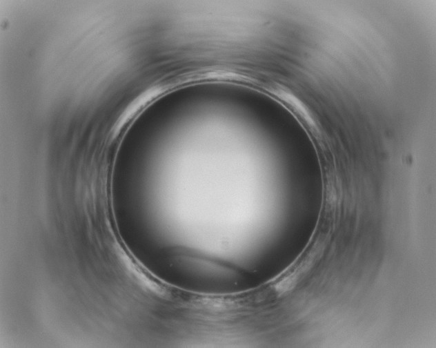 X0000089430910200706291311