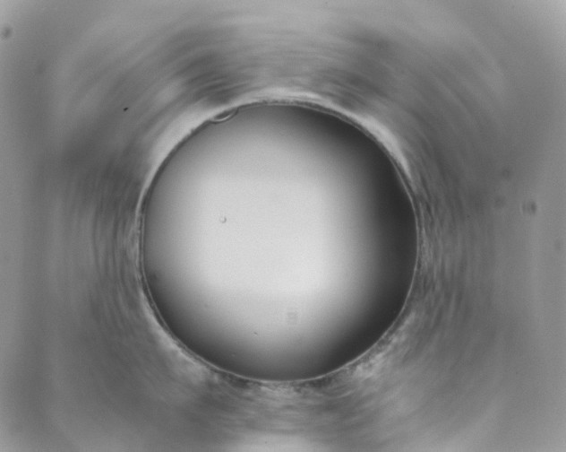 X0000089430911200706291311