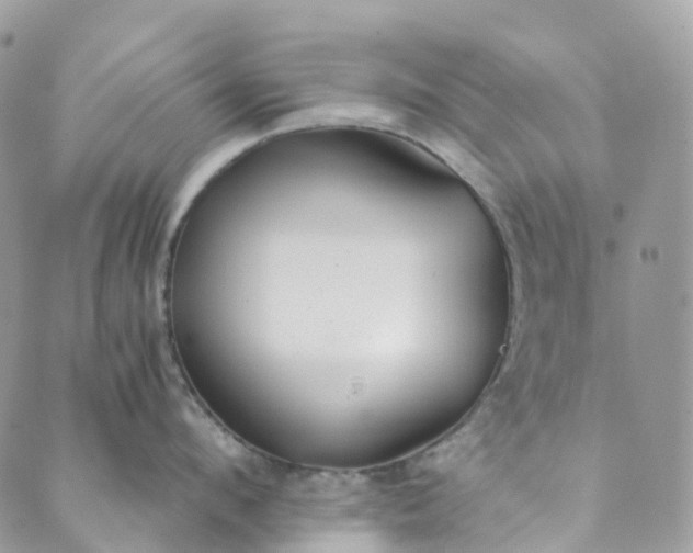 X0000089430912200706291311