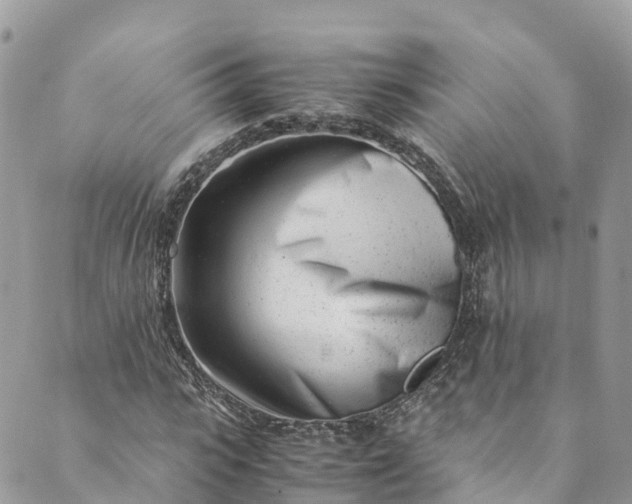 X0000089430919200706291310