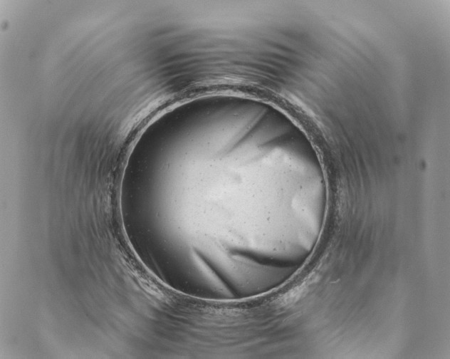 X0000089430921200706291310