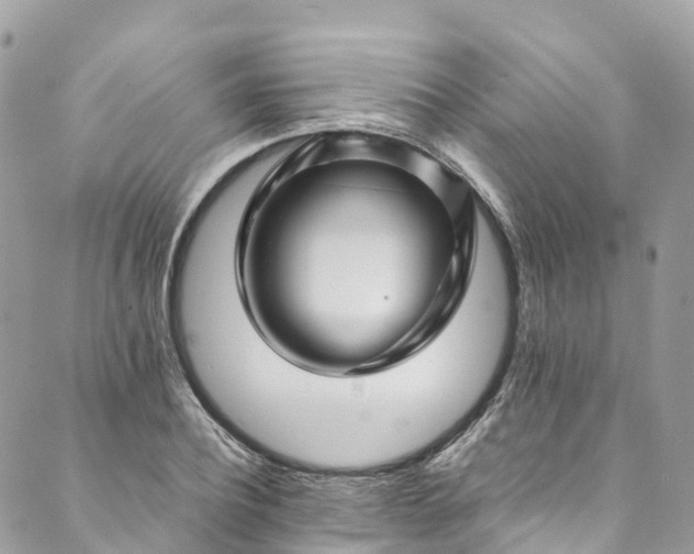 X0000089430932200706291310