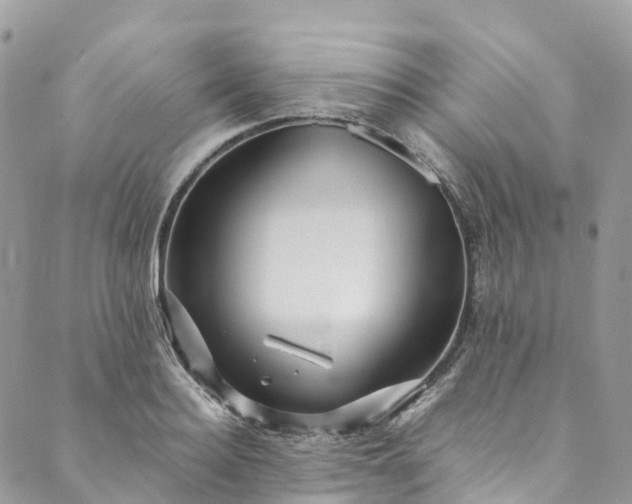 X0000089430940200706291311