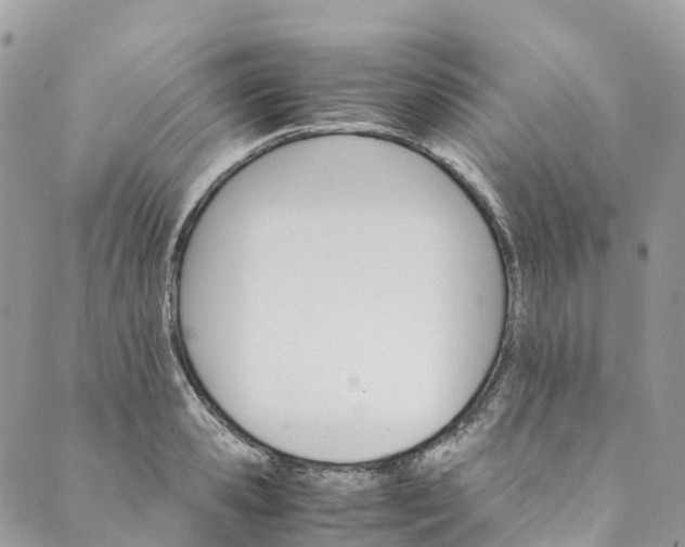 X0000089430941200706291311