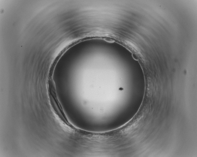 X0000089430942200706291311