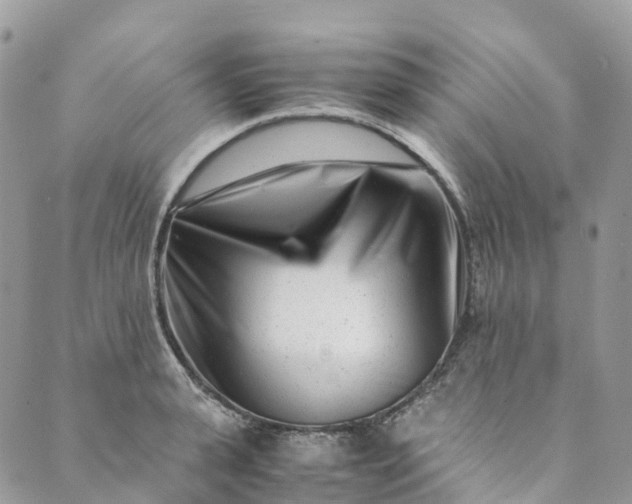 X0000089430943200706291311