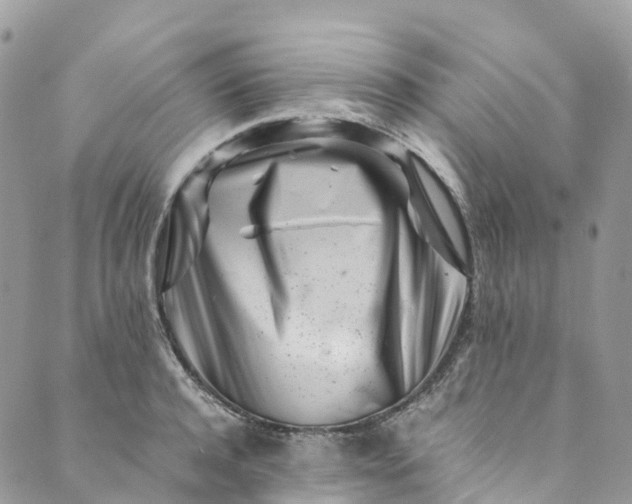 X0000089430944200706291311