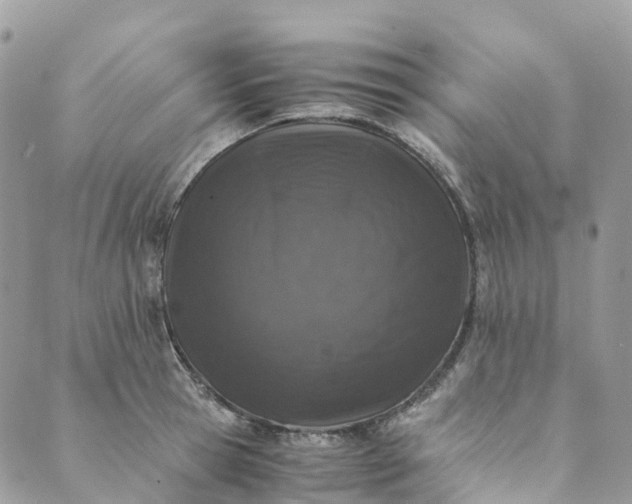 X0000089430945200706291311