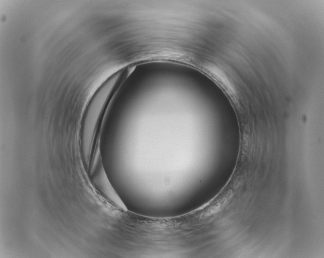 X0000089430948200706291311