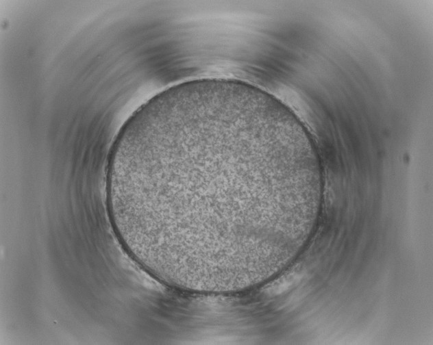 X0000089430950200706291311