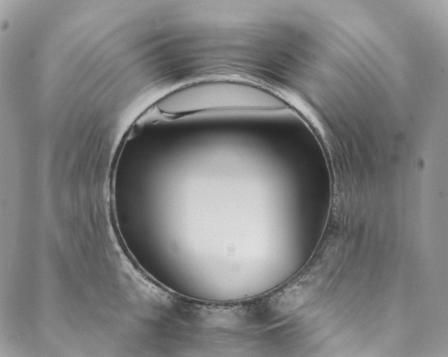 X0000089430951200706291311