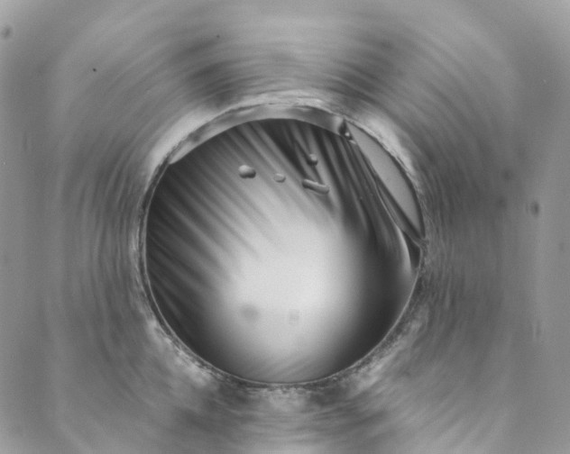 X0000089430952200706291311