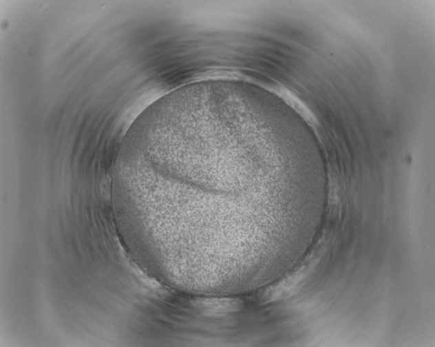 X0000089430953200706291311