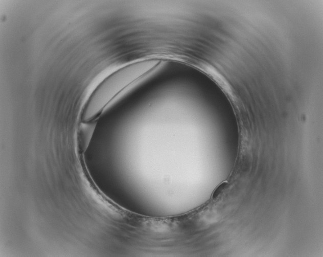 X0000089430955200706291311