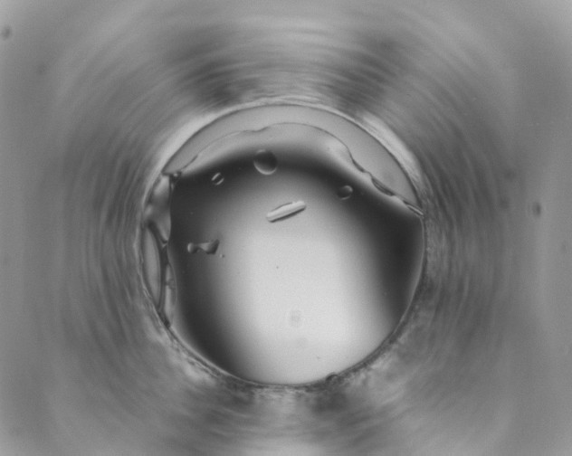 X0000089430956200706291311