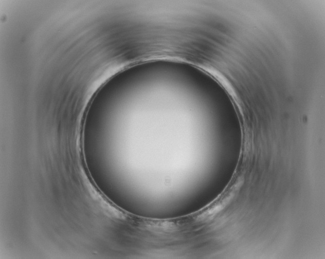 X0000089430957200706291311