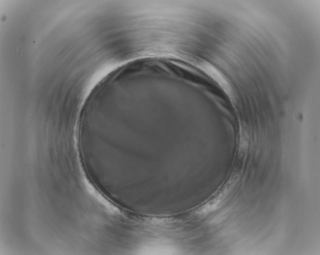 X0000089430958200706291311