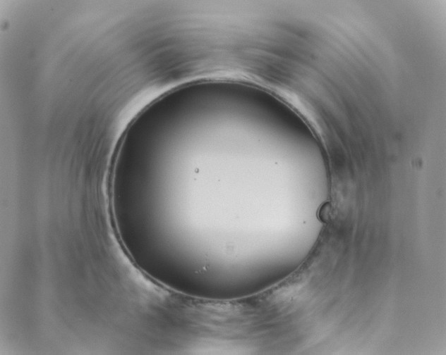 X0000089430959200706291311