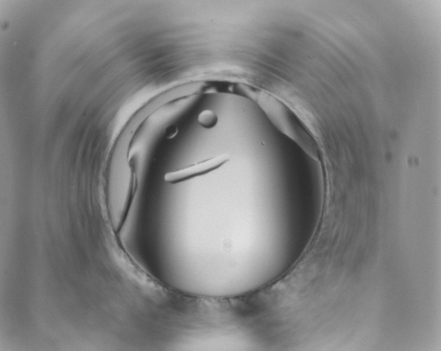 X0000089430960200706291311