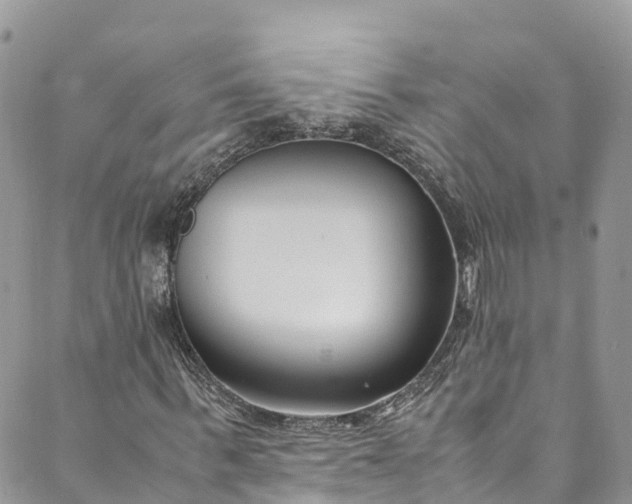 X0000089430963200706291310