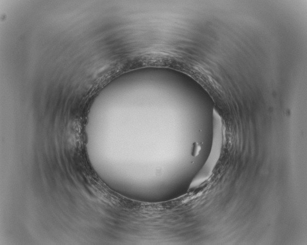 X0000089430964200706291310