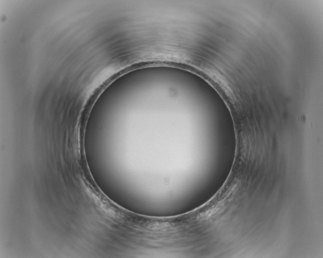 X0000089430982200706291310