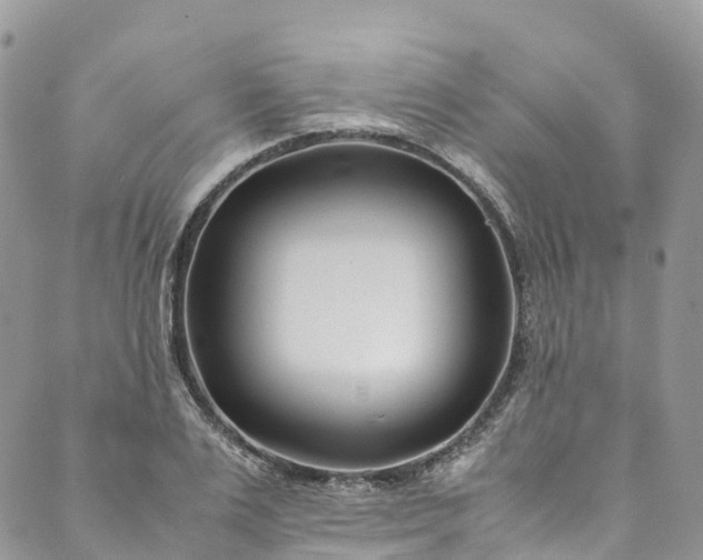 X0000089430983200706291310