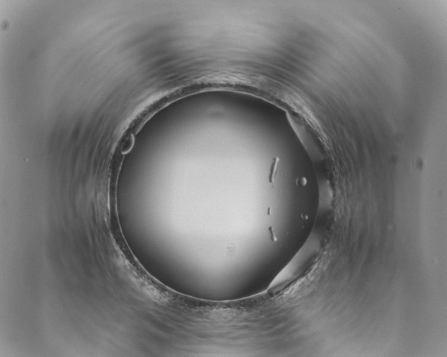 X0000089430984200706291310