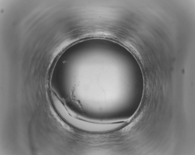 X0000089430989200706291310