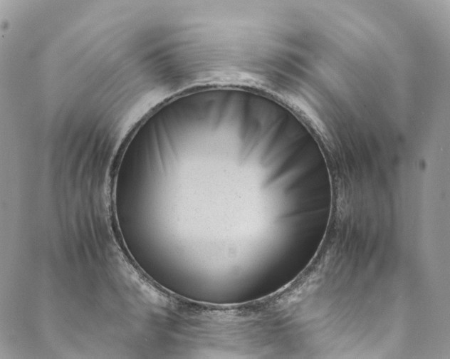 X0000089430990200706291310