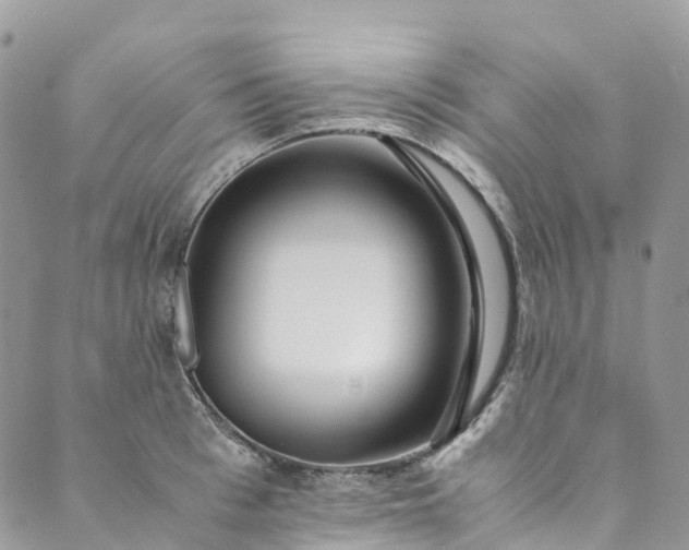 X0000089430993200706291310