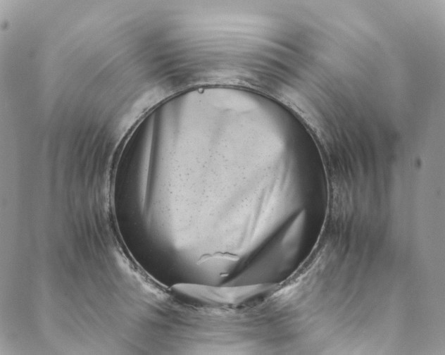 X0000089430994200706291310