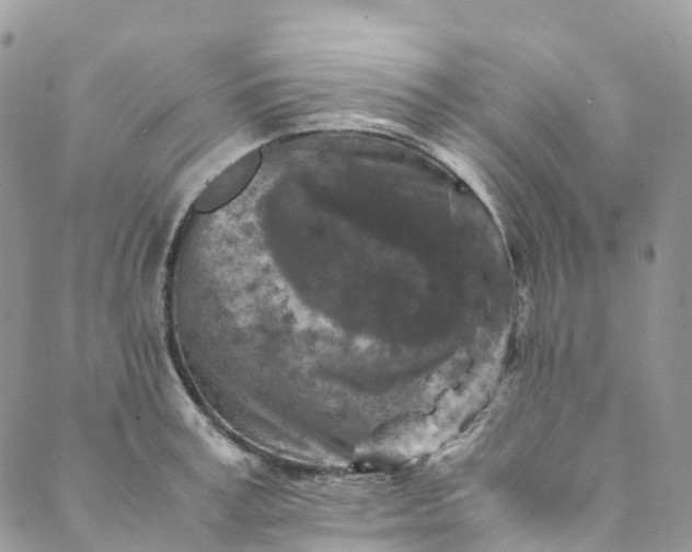 X0000089430995200706291309