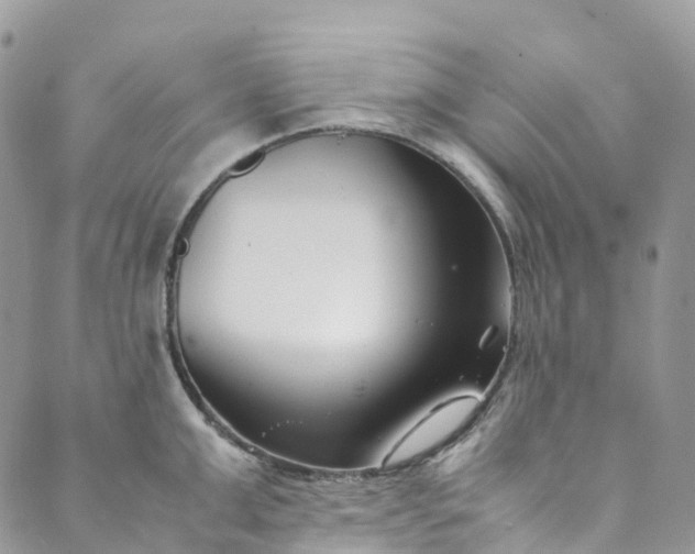 X0000089430999200706291309