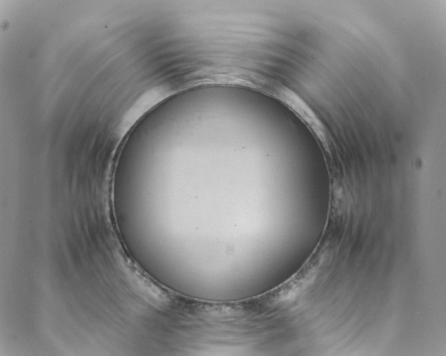 X0000089431002200706291309