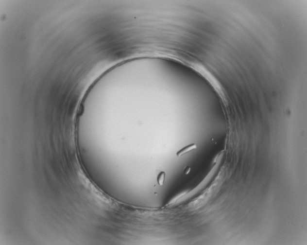 X0000089431004200706291309