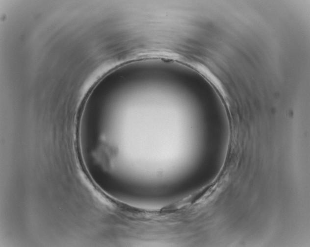 X0000089431005200706291309