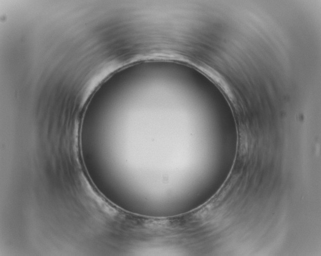 X0000089431006200706291309