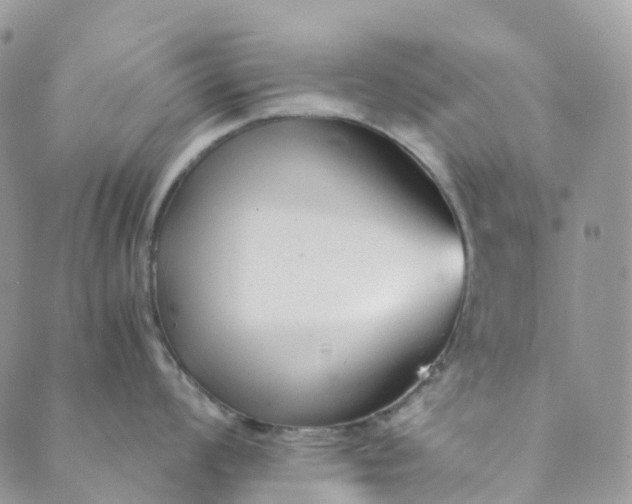 X0000089431008200706291309