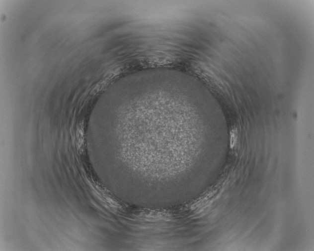 X0000089431011200706291309