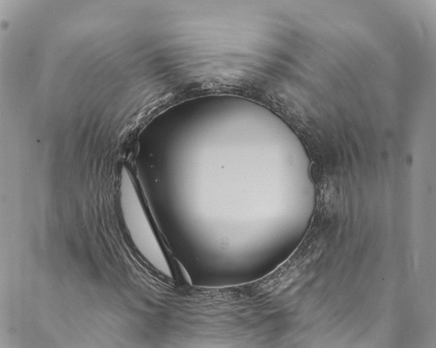 X0000089431012200706291309