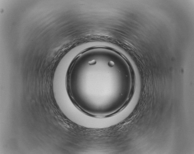 X0000089431014200706291309