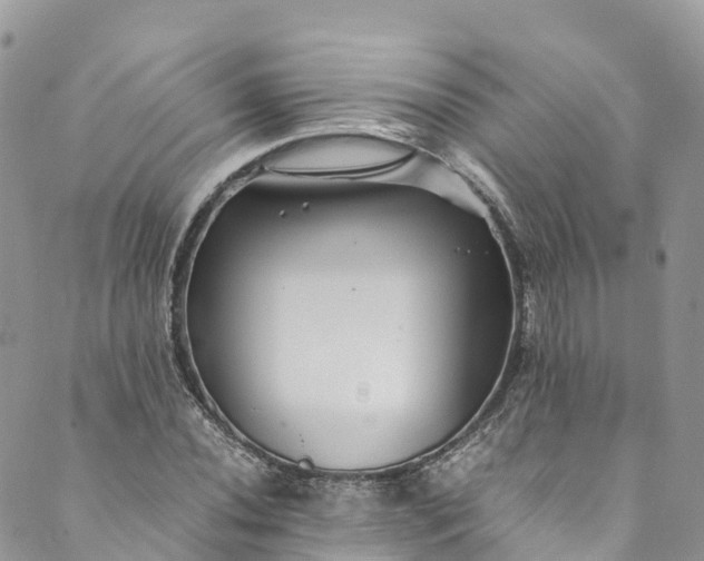 X0000089431020200706291309