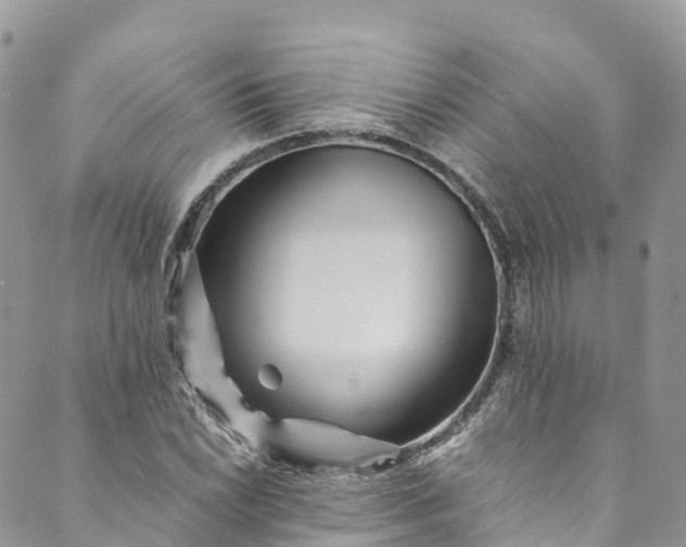 X0000089431022200706291309