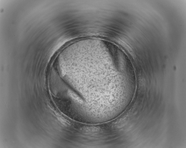 X0000089431023200706291309