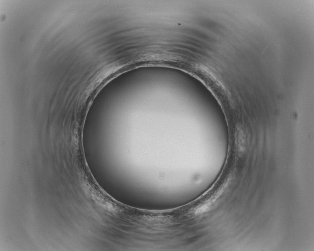 X0000089431025200706291309