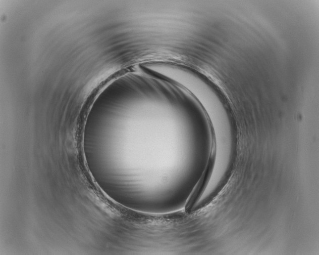 X0000089431026200706291309