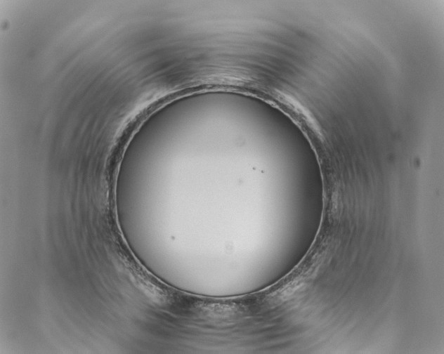 X0000089431027200706291309